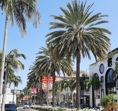 About Beverly Hills CA